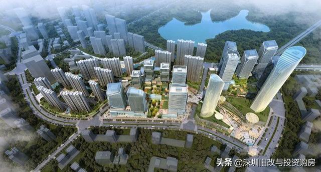 龍崗最新資訊，學(xué)習(xí)變革，自信成就未來(lái)之路