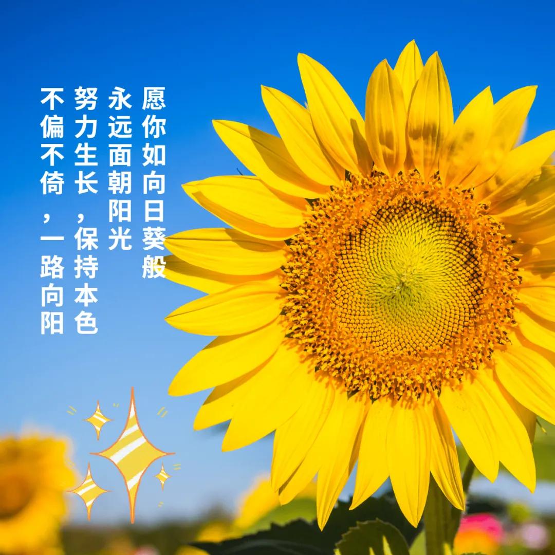 精選語錄回顧，蛻變成長(zhǎng)與無限可能——我的朋友圈故事 2017年度回顧