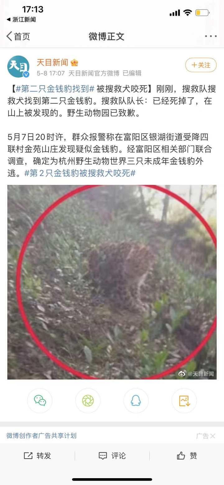 承德新聞快訊，多元視角下的觀察與解讀今日更新