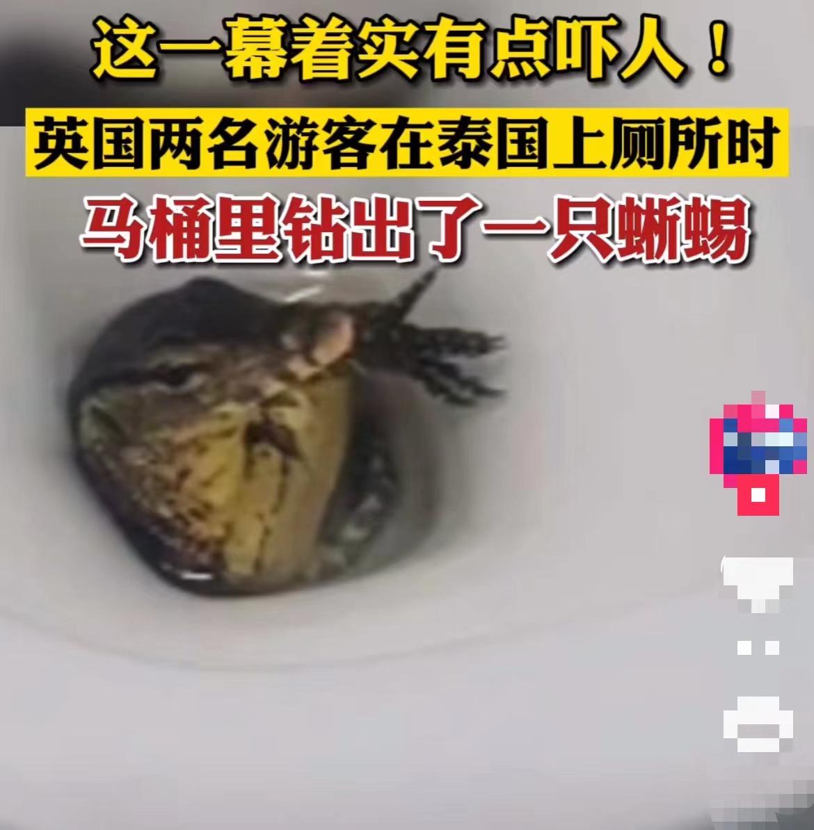 最新蛇咬事件，自然探險(xiǎn)之旅遭遇意外危機(jī)