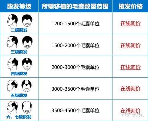 種頭發(fā)的價格之旅，探尋價格與自然的浪漫遨游