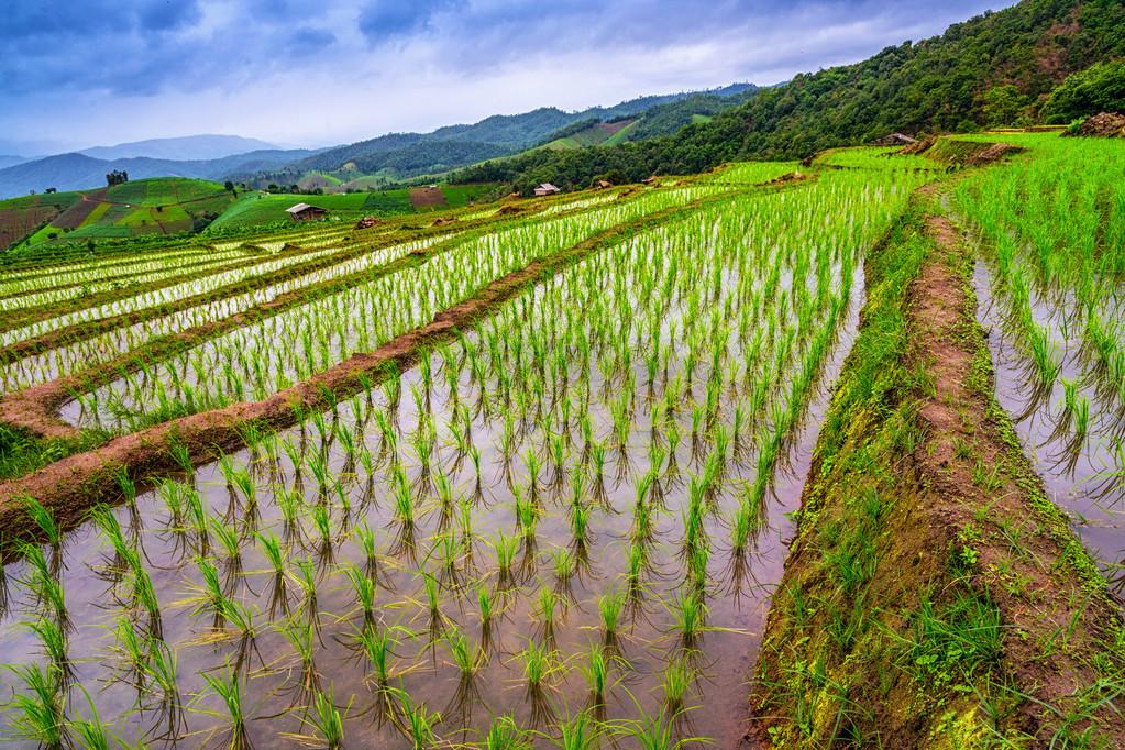 疫情控制最新動態(tài)更新，最新進展與趨勢分析