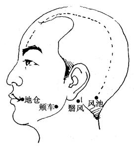 最新經(jīng)絡(luò)療法，開啟健康之旅的秘訣??