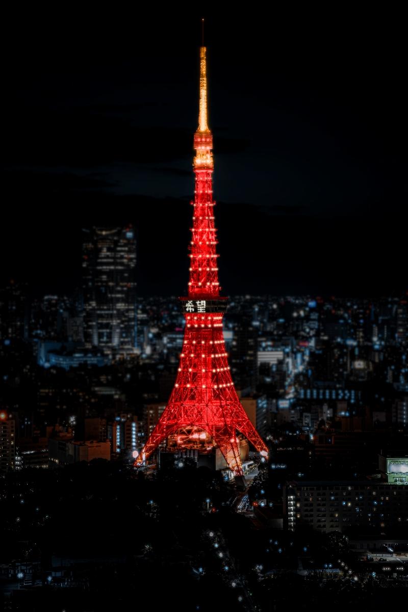 探索東京無(wú)限魅力，最新東京網(wǎng)站帶你暢游東京之巔