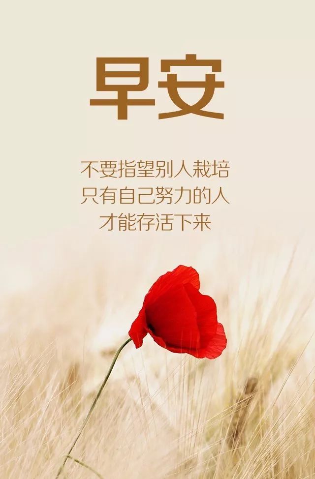 最新早安語錄，巷弄深處獨特小店喚醒你的清晨時光
