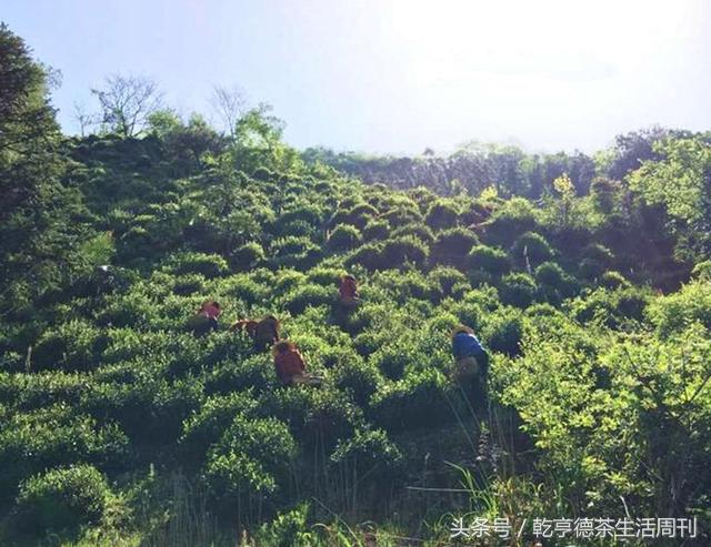 宣城新冠病毒防護指南，最新防護策略及應(yīng)對方法