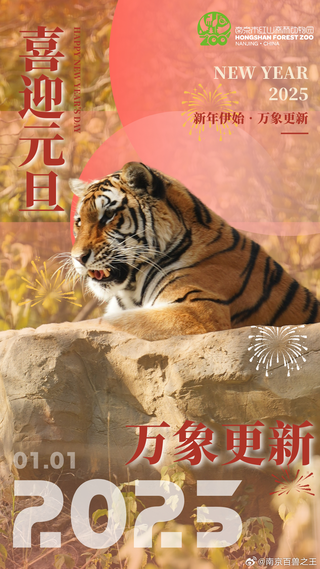 最新年伊始，完成某項(xiàng)任務(wù)或?qū)W習(xí)某種技能的詳細(xì)步驟指南