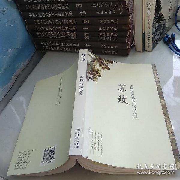 時代背景下的璀璨篇章，蘇最新章節(jié)速遞
