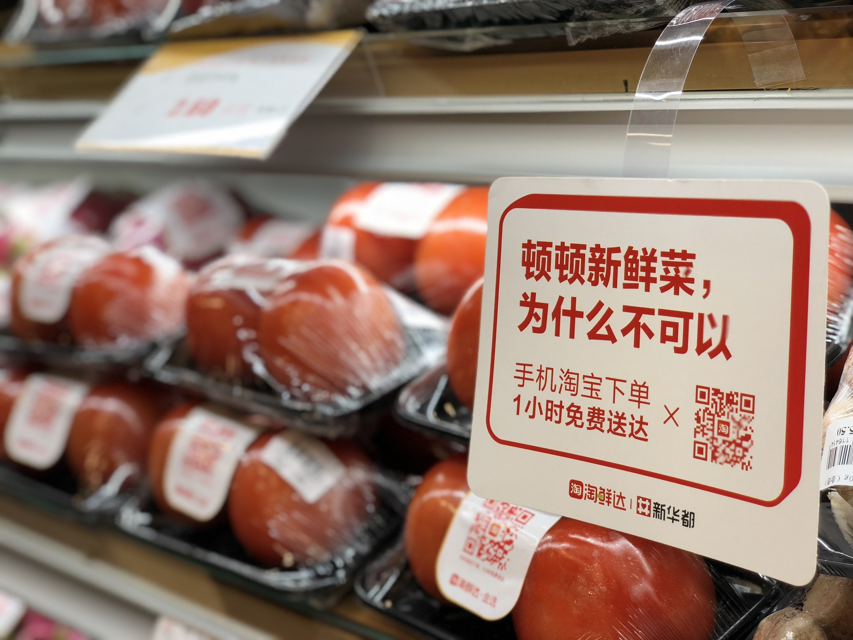小巷中的秘密美食天堂，淘最新鮮美食之旅