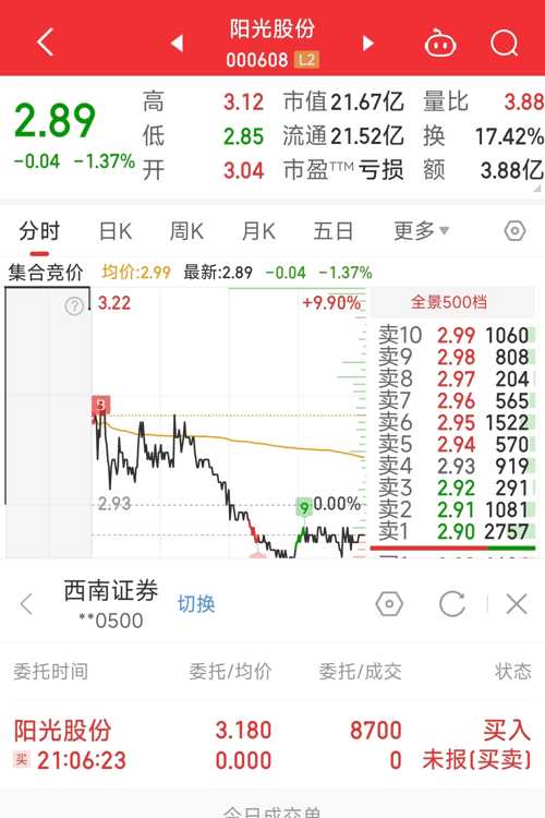 陽光股份最新動態(tài)，家的溫馨與友情邂逅的奇遇