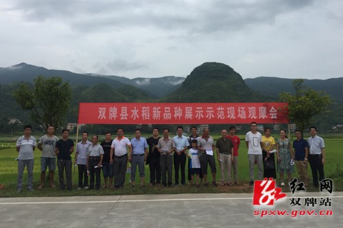 雙牌縣新時代新面貌，探尋最新發(fā)展與變化