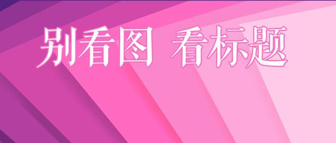 預(yù)情最新通知詳解，任務(wù)完成與技能學(xué)習(xí)步驟指南