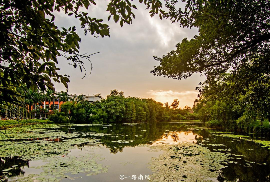 華南海域最新天氣報告，探索自然美景之旅，尋求內(nèi)心寧靜與平和的旅程