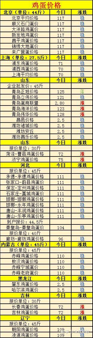 全國雞蛋最新批發(fā)價格，友情與陪伴中的溫情故事