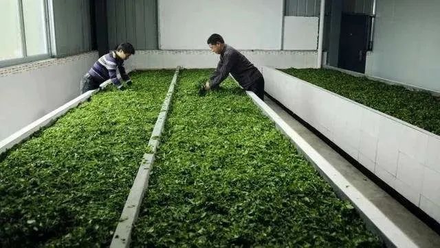 茶碾公路最新進展詳解，入門到精通的全方位指南